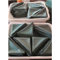 LOCATION #1. LOT OF 2 BUS BINS FULL OF VISA NAPKINS W/ STACK