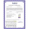 Image 2 : Genuine 4.5 ctw Amethyst & Peridot Earrings 14KT White Gold - REF-41W4Y