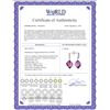 Image 2 : Genuine 21.65 ctw Amethyst & Diamond Earrings 14KT White Gold - REF-56N3R