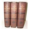 Image 1 : THE WORKS OF CHARLES DICKENS THREE VOLU