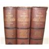 Image 2 : THE WORKS OF CHARLES DICKENS THREE VOLU