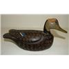 Image 2 : DAISEY CHINCOTEAGUE, VIRGINIA MINIATURE
