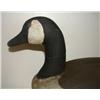 Image 2 : HERTER CANADA GOOSE DECOY