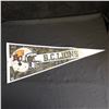 Image 1 : B.C LIONS TEAM SIGNED FOOTBALL PENNANT