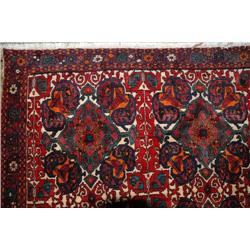 Sirjan Geometric rug
