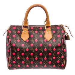Louis Vuitton  Monogram Speedy 25 Handbag