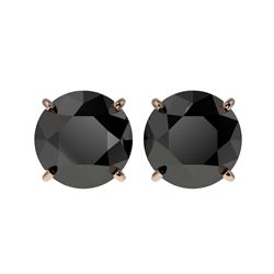 4 ctw Fancy Black Diamond Solitaire Stud Earrings 10K Rose Gold