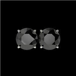 5.15 ctw Fancy Black Diamond Solitaire Stud Earrings 10K White Gold