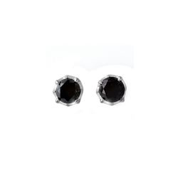 2.50 ctw VS Certified Black Diamond Stud Earrings 14K White Gold