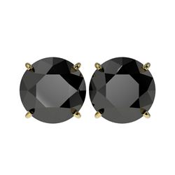 5.15 ctw Fancy Black Diamond Solitaire Stud Earrings 10K Yellow Gold