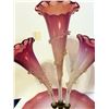 Image 2 : Victorian Cranberry Opalescent Epergne