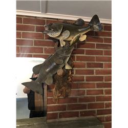 Bass Taxidermy Mount