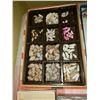 Image 15 : Magnificent Collection of Seashells