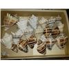Image 19 : Magnificent Collection of Seashells