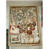 Image 20 : Magnificent Collection of Seashells