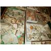 Image 4 : Magnificent Collection of Seashells