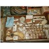 Image 8 : Magnificent Collection of Seashells