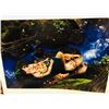 Image 2 : Nymph, C-Prints