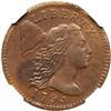 Image 1 : 1795 S-76b R1 Plain Edge NGC graded AU58