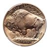 Image 2 : 1913 Buffalo Nickel. Type 1. PCGS MS67
