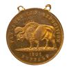 Image 1 : 1901 Pan-American Exposition - Buffalo - Expo View. Mounted. Brass. NGC MS61 Prooflike