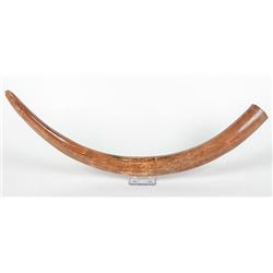 Complete Mammoth Tusk