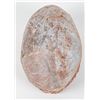 Image 1 : Dinosaur Egg Unkown Type of Dinosaur