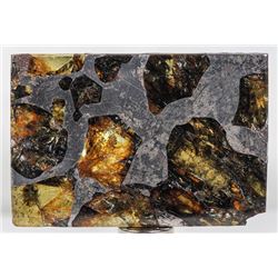Esquel the Most Beautiful Pallasite