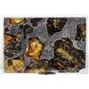 Image 1 : Esquel the Most Beautiful Pallasite