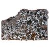 Image 1 : Meteorite Admire Pallasite