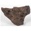 Image 1 : Meteorite Campo Del Cielo 15.5 Pounds