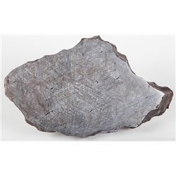 Meteorite Etched Gibeon End Cut