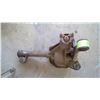 Image 2 : 98 FORD EXPLORER FRONT DIFFERENTIAL