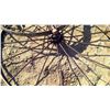 Image 2 : 3 Steel Spoke Wheels (1 Bent) - 48"