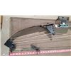 Image 7 : BEAR ARCHERY COMPOUND HUNTING BOW