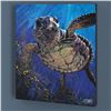 Image 3 : Kemp's Ridley by Fishwick, Stephen