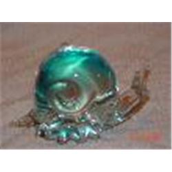 ICE.T Murano Snail