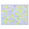 Image 1 : Tom Pergola, "Spring" Original Acrylic Painting on Gallery Wrapped Canvas, Hand Signed with Certific