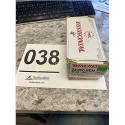 40 Rounds Winchester 22-250 REM 45 GR. JHP Varmint