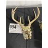 Image 1 : Whitetail Deer Skull & Horns