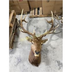 Vintage Elk Neck Mount
