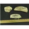 Image 4 : 3 Eskimo Ivory Carvings