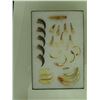 Image 2 : Ivory Relic Display
