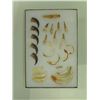 Image 3 : Ivory Relic Display