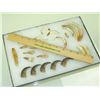 Image 4 : Ivory Relic Display