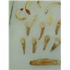 Image 7 : Ivory Relic Display