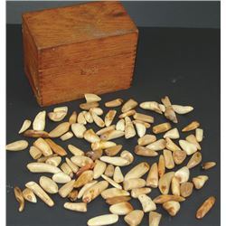 Fossilized Ivory Collection