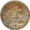 Image 1 : 1794 1C Head of 1794--Corroded--ANACS. 