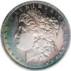 Image 1 : 1899 S$1 PR63 NGC. Vividly toned in ele