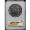 Image 4 : 1899 S$1 PR63 NGC. Vividly toned in ele